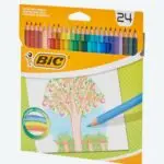 Crayons de couleur BIC - 24pcs