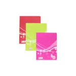 Lot 3 cahiers A5 100p