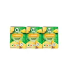 Briquettes Jus à base de concentré d'ananas 6x20cl