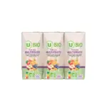 Briquettes Jus de Multivitaminé BIO 6x20cl